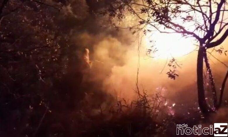 Mata nativa de Jundiaí é destruída por queimada