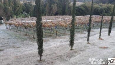 Jundiaí é tomada pela geada e registra mínima de 2ºC