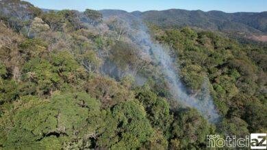 Contra incêndios na mata de Jundiaí, serviço de aceiro é feito