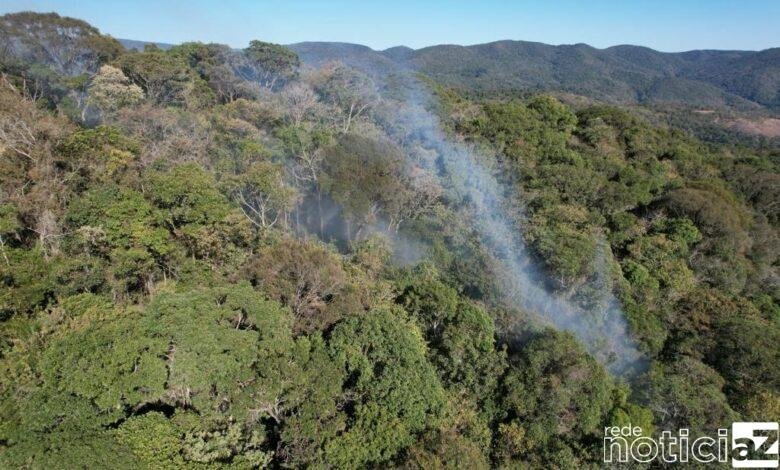Contra incêndios na mata de Jundiaí, serviço de aceiro é feito