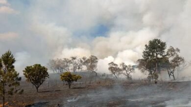 Defesa Civil combate incêndio de grandes proporções em Cabreúva