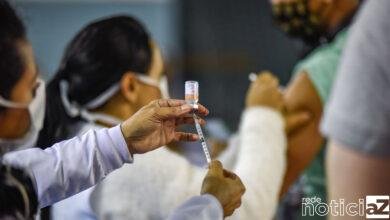 Confira como será a vacina contra a Covid-19 na Região
