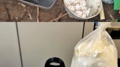 Guarda de Jundiaí encontra cocaína enterrada em matagal