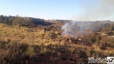 Animais são resgatados de queimadas em Campo Limpo Paulista