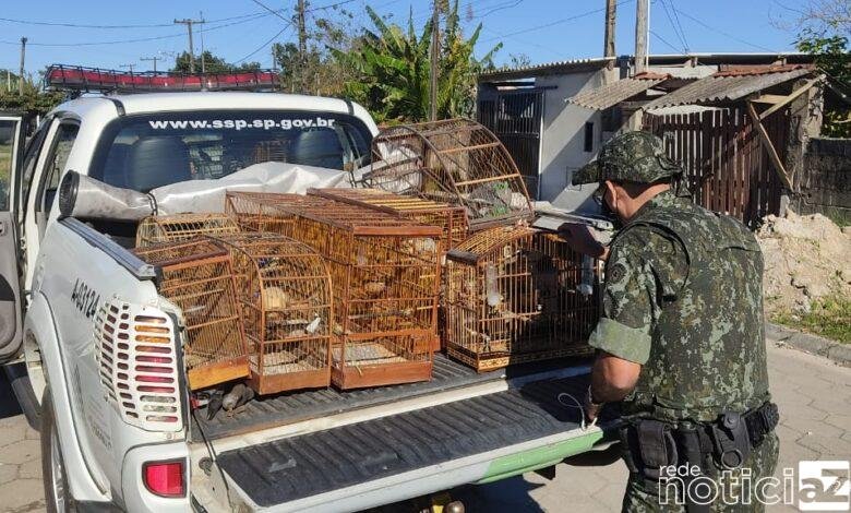 Aves em cativeiro rendem multa de quase R$ 500 mil