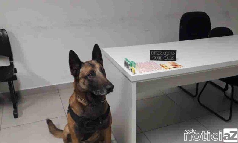 Um menor foi detido pelo Canil da GM de Jundiaí. Ele foi flagrado em atitude suspeita em um terreno baldio. Tentou fugir, mas foi detido.