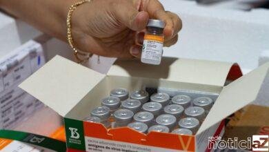 Pesquisa revela que CoronaVac tem 75% e AstraZeneca tem 90% de efetividade contra a Covid-19