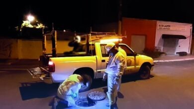 Dedetização em Itupeva