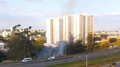Incêndio atinge mata em Marginal da Anhanguera