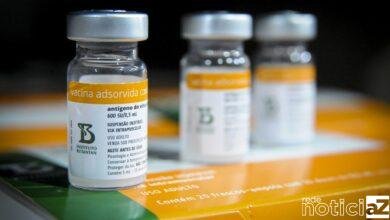 Estudo brasileiro aponta que terceira dose da CoronaVac deve ser aplicada