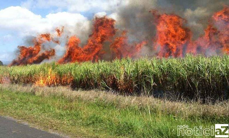 Uma Usina de cana de açúcar recebeu multa de mais de meio milhão de reais por realizar queimadas. Em patrulhamento ambiental a equipe de Policia