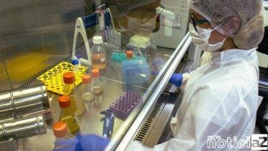 UFRJ pede à Anvisa autorização do estudo da vacina contra a Covid