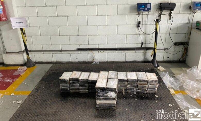 Carregamento de cocaína que iria para a Holanda é apreendido no Porto de Santos