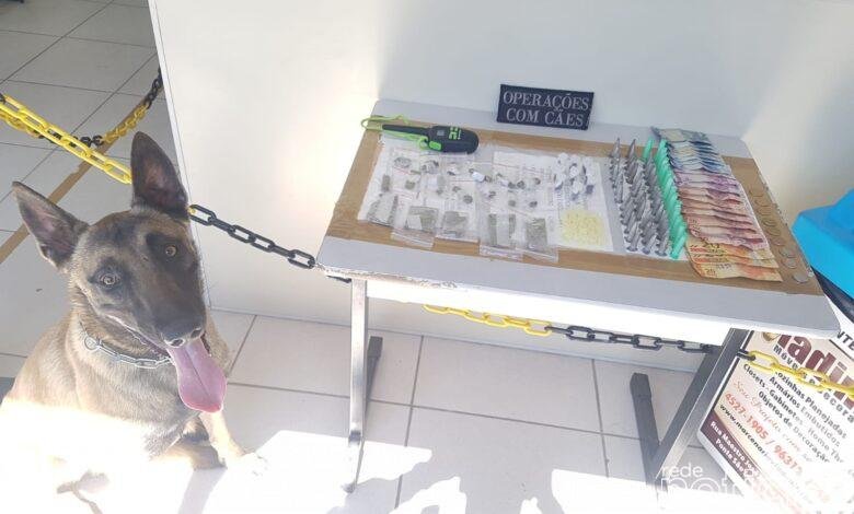 Canil da GM apreende menor por tráfico em Jundiaí
