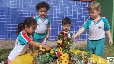 Ensino e diversão ocorrem com Projeto Horta de Campo Limpo Paulista