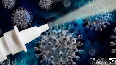 Spray nasal contra a Covid-19 pode estar disponível no Brasil já em 2022