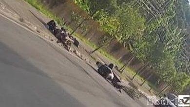 VÍDEO - Acidente incrível com duas motos no Litoral de São Paulo