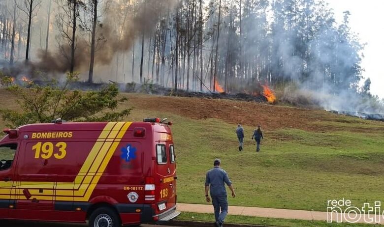 Sete pessoas morrem em queda de avião