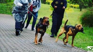 Simulado de resgate de pessoas desaparecidas será realizado em Jundiaí