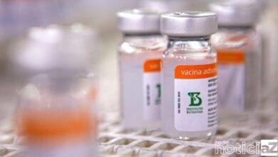 Último lote da CoronaVac é entregue ao Ministério da Saúde