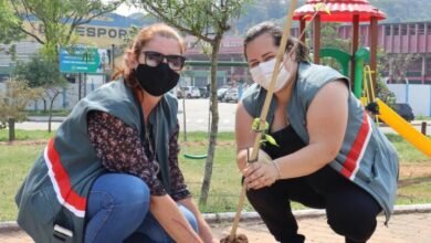 Dia da Árvore é celebrado com plantio em Campo Limpo Paulista