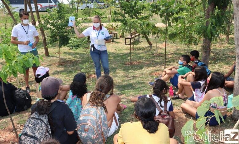 Jundiaí celebra o Dia da Árvore com plantações em vários pontos da cidade