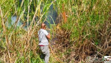 Incêndios em Itupeva são combatidos pela Defesa Civil e Brigada Municipal