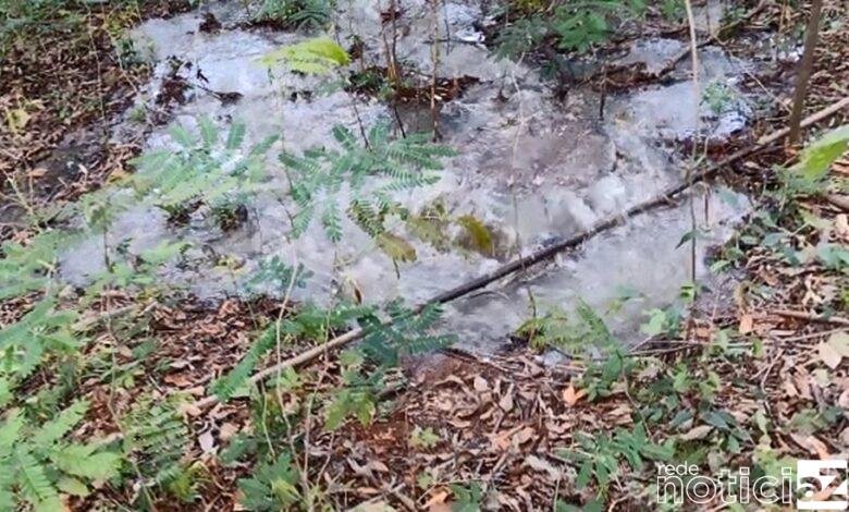 Peixes são encontrados mortos em lago de Jundiaí