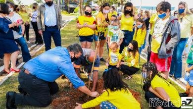 Crianças plantam árvores em Itupeva em alusão o Setembro Amarelo