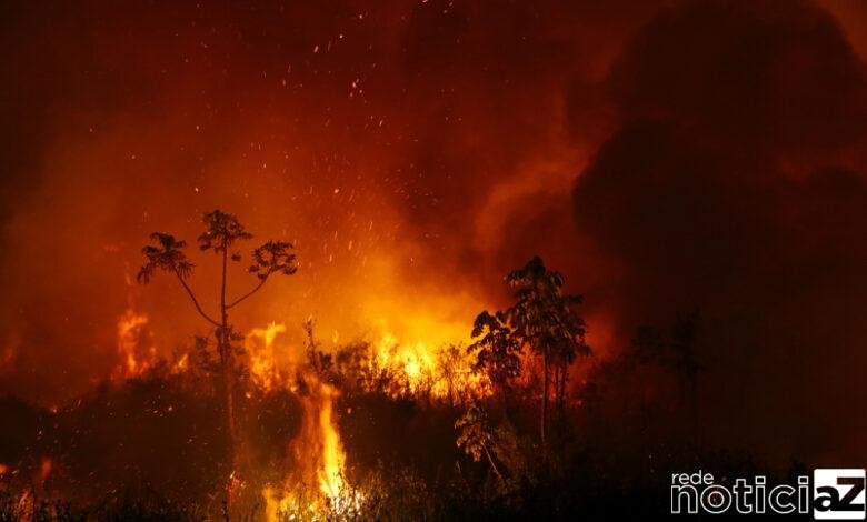 Tragédia e irresponsabilidade no Pantanal. Mais de 17 milhões de animais morreram nas queimadas