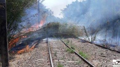 Linha férrea entre Louveira e Vinhedo é atingida por fogo e interrompe roteiro turístico
