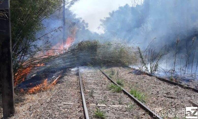 Linha férrea entre Louveira e Vinhedo é atingida por fogo e interrompe roteiro turístico