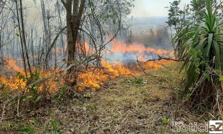 Mata nativa de Jundiaí sofre incêndio