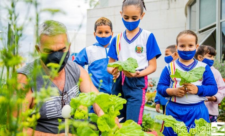 Estudantes de Itupeva participam do 'Projeto Horta'