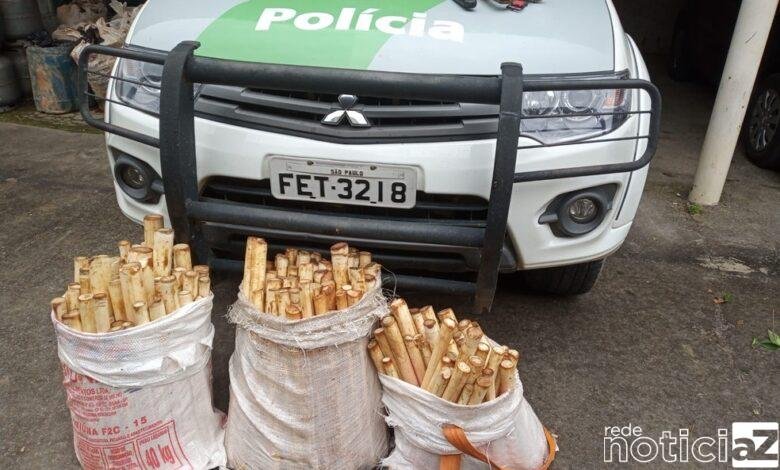 Polícia Ambiental multa em mais de R$ 500 mil trio que extraiu palmito no Interior de SP