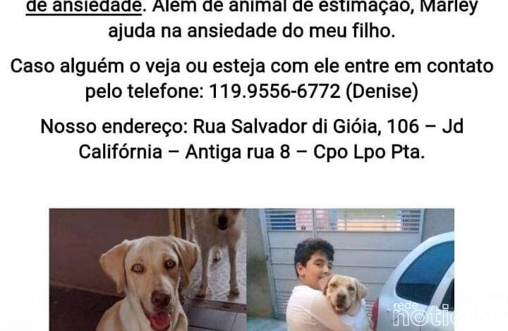 Família de Campo Limpo Paulista procura pelo Marley