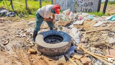 Combate ao Aedes aegypti é intensificado em Itupeva