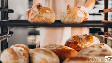 Veja aqui as 60 vagas abertas de cursos gratuitos