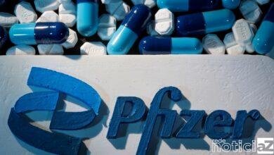Medicamento contra a Covid-19 da Pfizer começa a ser testado no Brasil