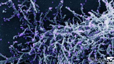 Nenhum novo caso de Covid-19 em Jundiaí