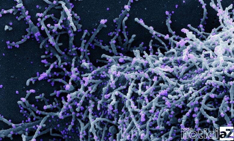 Nenhum novo caso de Covid-19 em Jundiaí