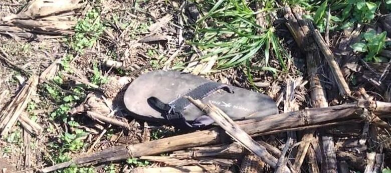 Guarda de Itupeva encontra ossadas de homem em fazenda