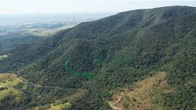 Serra do Japi tem nova presidência no Conselho de Gestão