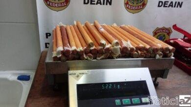 Tráfico Internacional