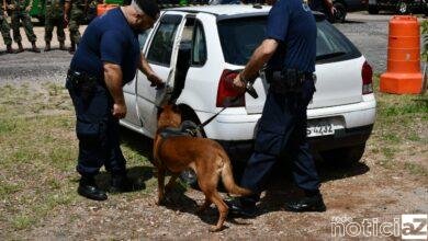 Forças de segurança participam do Training Day
