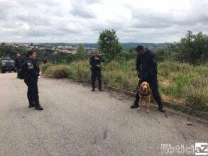 Buscas por jovem desaparecida em Campo Limpo continuam
