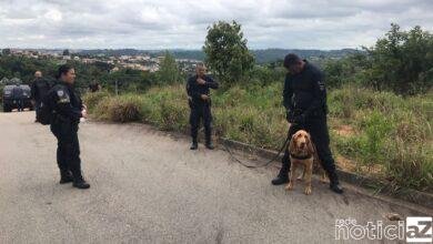 Buscas por jovem desaparecida em Campo Limpo continuam