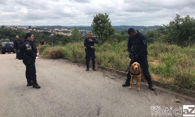 Buscas por jovem desaparecida em Campo Limpo continuam
