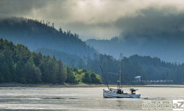 Nem o Alasca escapa do aquecimento global e registra recorde de calor para dezembro