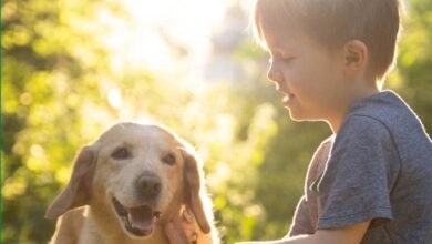 Itupeva promove a campanha Dezembro Verde